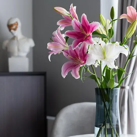 Golden Apartment, So Close To Rynek! Free Parking Included. * Vratislav